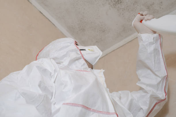 Crawl Space Mold Removal in Apple Valley, OH